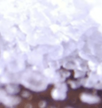 FDA Announces New Sodium Reduction Targets in Phase II Efforts